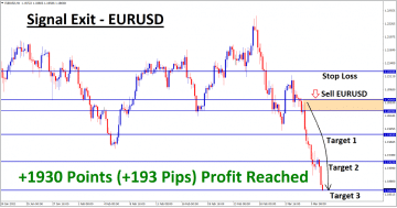 Easy to Follow & Profitable Forex Signaling Service